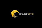 Falcon Eye представляет новую серию AHD-камер!