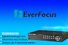 Новые видеорегистраторы от EverFocus поступили в продажу!